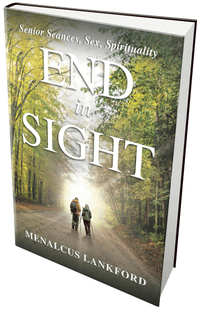Cover of End in Sight